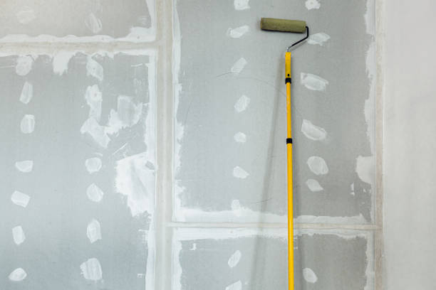 Best Drywall Removal and Disposal  in Forrest, IL